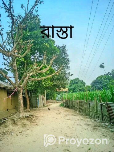 দিনাজপুরে জমি বিক্রয় হইবে