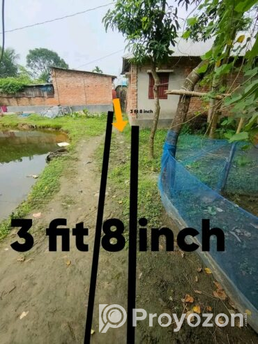 কাঞ্চনঘাট জীবন মহলের পিছনে জমি বিক্রি করা হবে