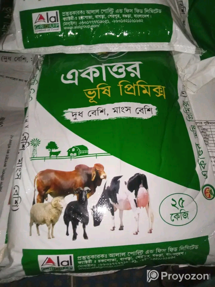 ক্যাটল ফিড কিনতে যোগাযোগ করুন
