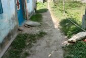 টিনসেট বাড়ী সহ জায়গা বিক্রয় হবে।