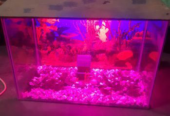 Aquarium for sale
