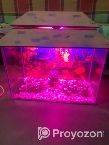 Aquarium for sale