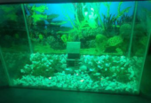 Aquarium for sale