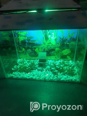 Aquarium for sale