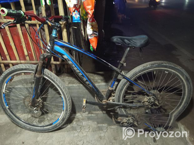 Feibac Bicycle (Used)