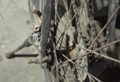 Feibac Bicycle (Used)