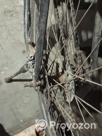 Feibac Bicycle (Used)