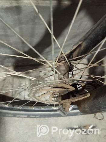 Feibac Bicycle (Used)