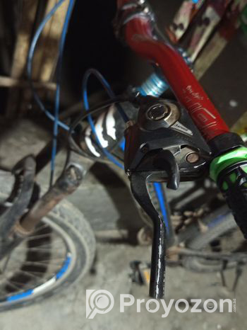 Feibac Bicycle (Used)