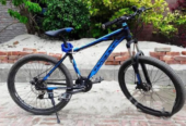 Phoneix Alloy body Bicycle