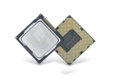 processors full fresh