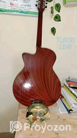 GUITAR Used for 2 months.