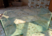 Choto Fish tank (Used)