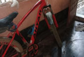 Bicycle for sale