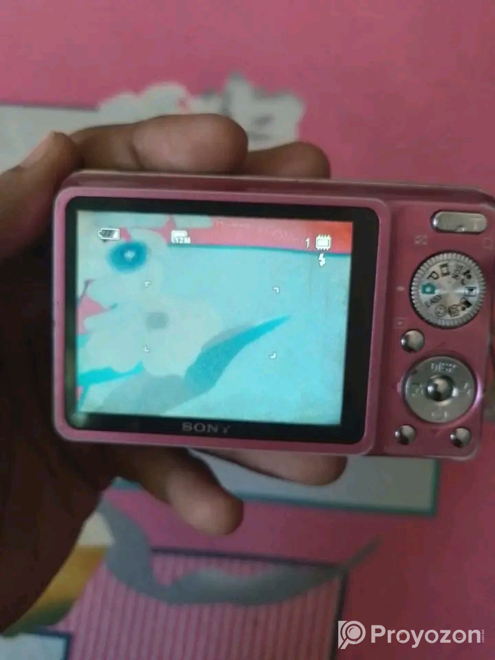 Sony Cybershot DSC-W220