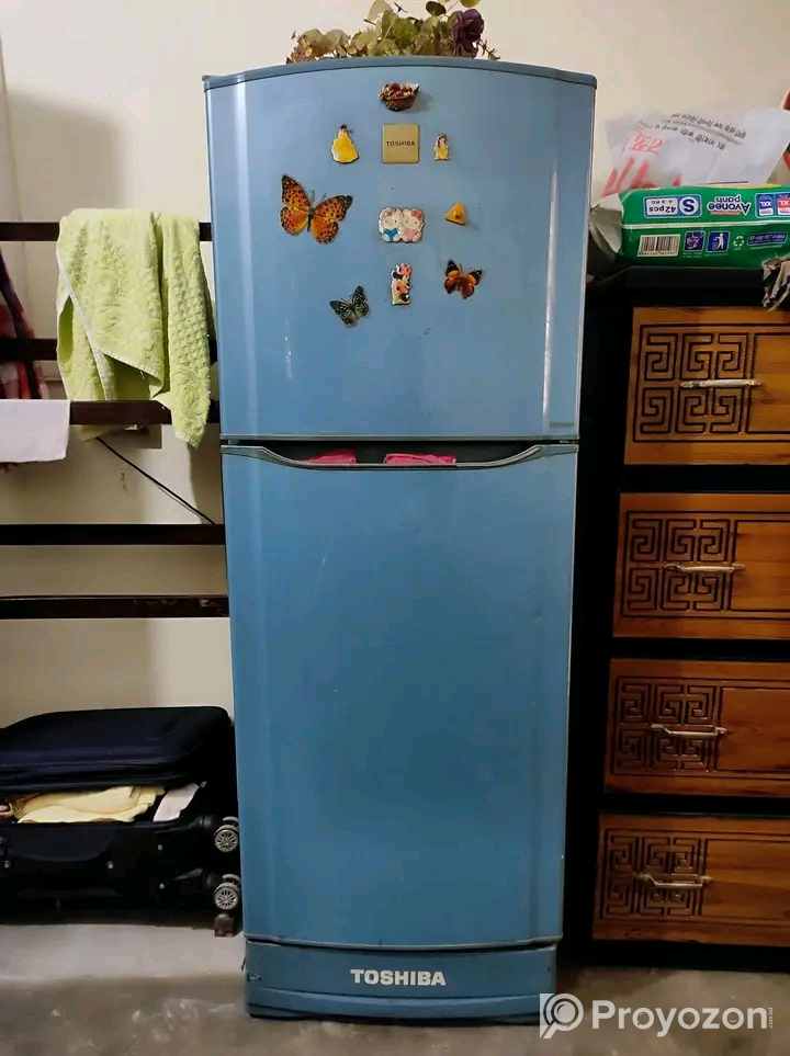 Toshiba (non-frost) Model: GR-M19BPT