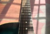 AXE 48c Guter (Used)
