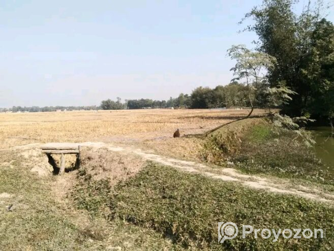২৩১ শতক জমি বিক্রয় করা হবে
