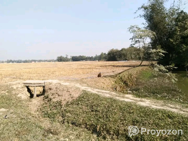 ২৩১ শতক জমি বিক্রয় করা হবে