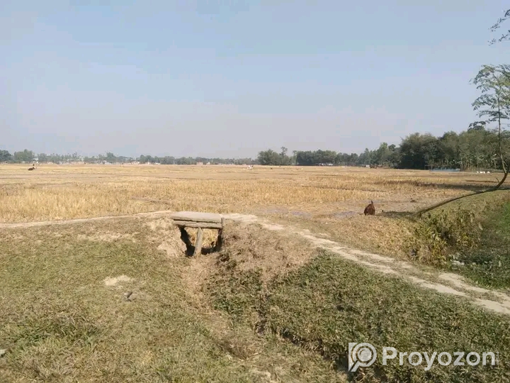 ২৩১ শতক জমি বিক্রয় করা হবে