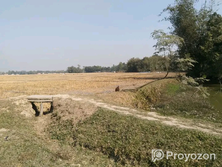 ২৩১ শতক জমি বিক্রয় করা হবে