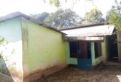 বাসা ভাড়া দেওয়া হবে ( টিনসেডের ফ্লাট)