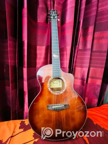 Guitar for Sell Post