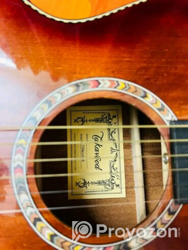 Guitar for Sell Post