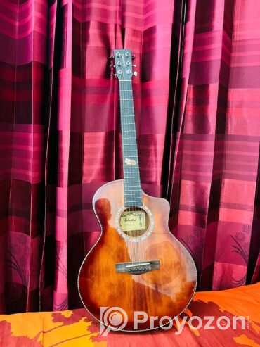 Guitar for Sell Post