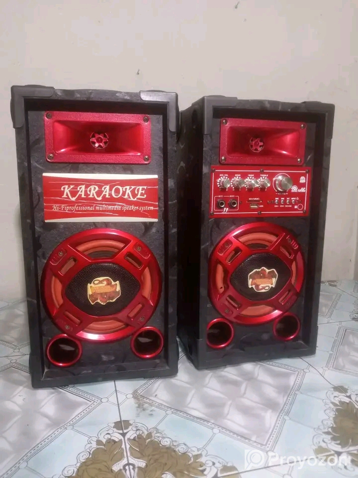 Big Sound & 2Microphone