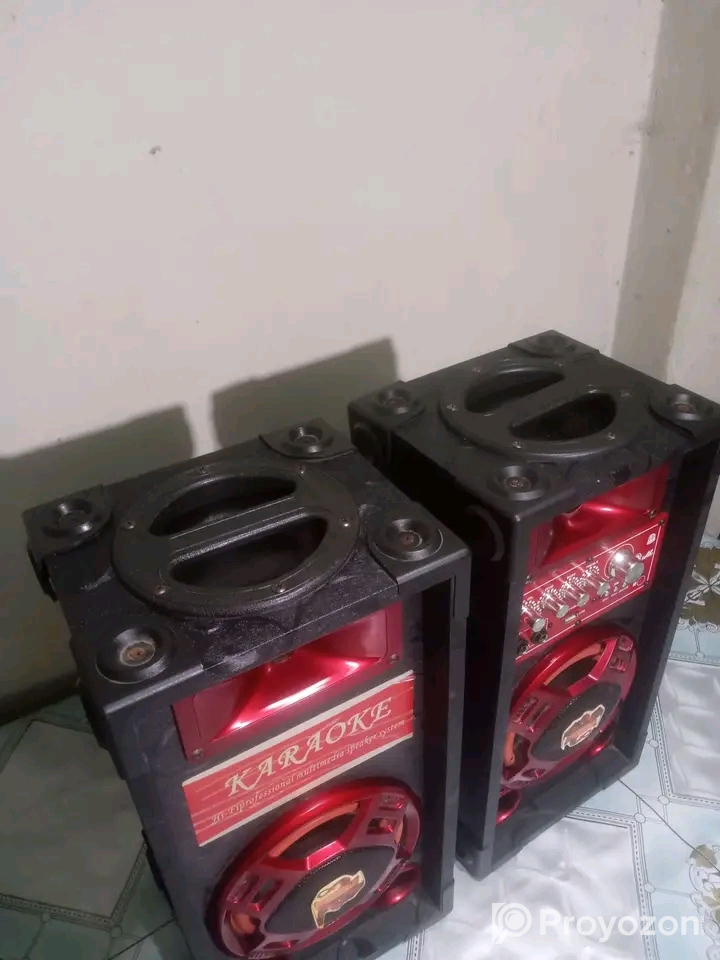 Big Sound & 2Microphone