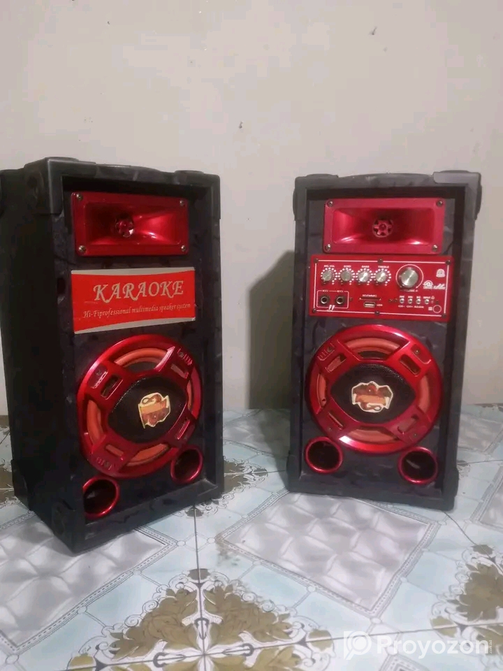 Big Sound & 2Microphone