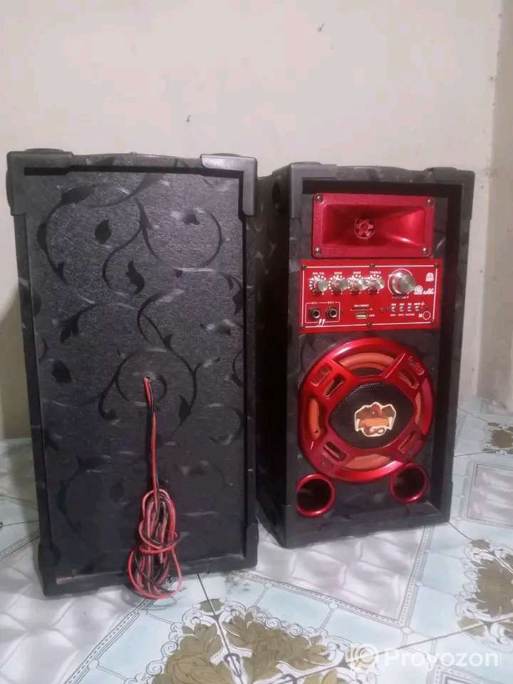 Big Sound & 2Microphone