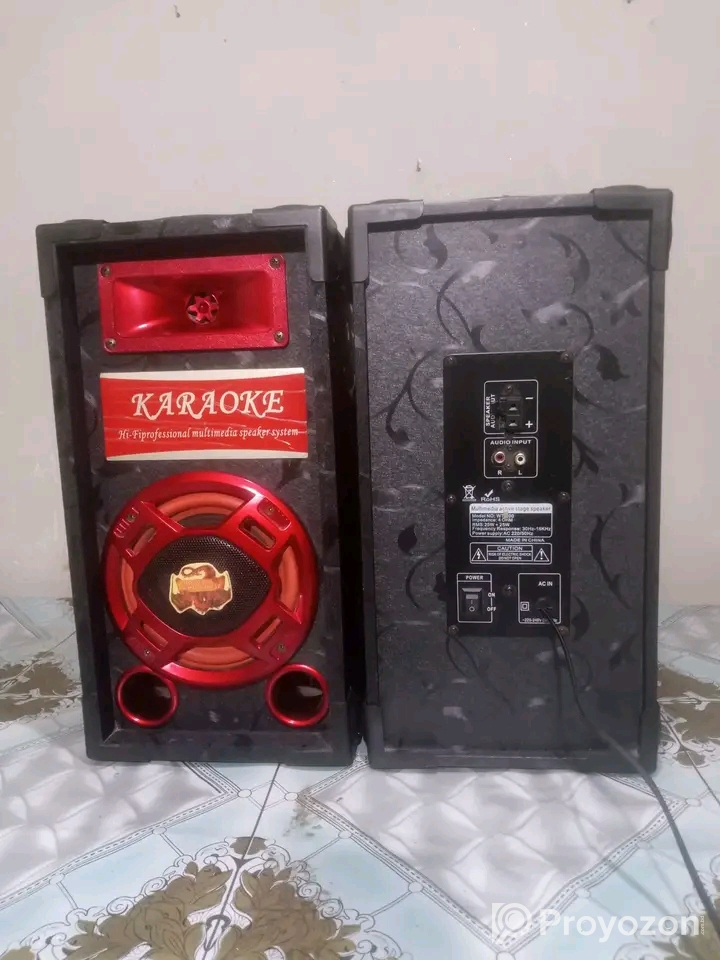 Big Sound & 2Microphone