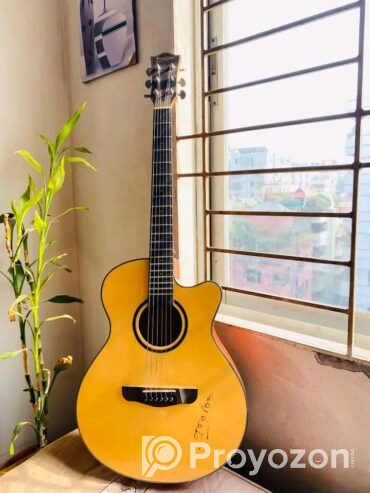 গিটারটি বিক্রি হবে