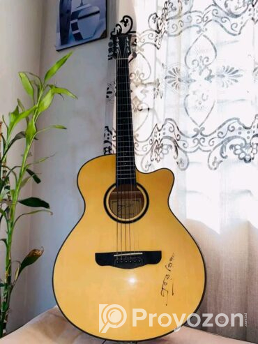গিটারটি বিক্রি হবে