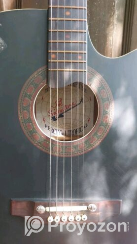 Signature Acoustic Guitar with bag