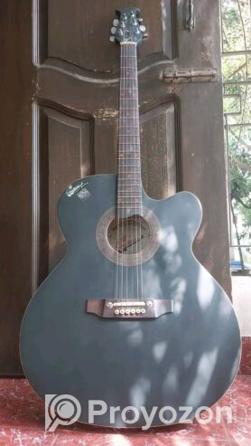 Signature Acoustic Guitar with bag