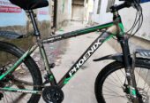 Phonix Argus Cycle 26″