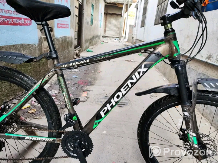 Phonix Argus Cycle 26″