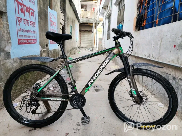 Phonix Argus Cycle 26″