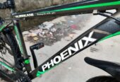Phonix Argus Cycle 26″