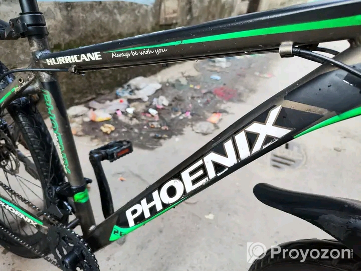 Phonix Argus Cycle 26″