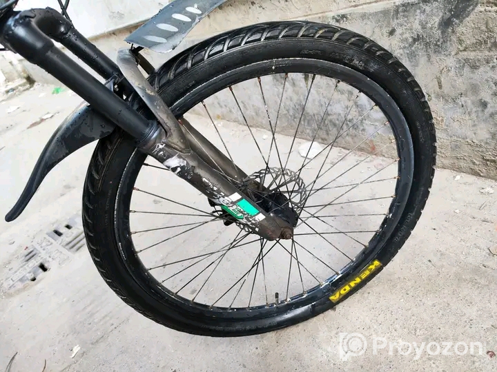 Phonix Argus Cycle 26″