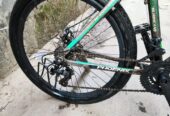 Phonix Argus Cycle 26″