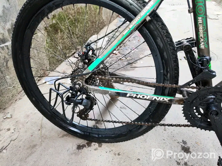 Phonix Argus Cycle 26″