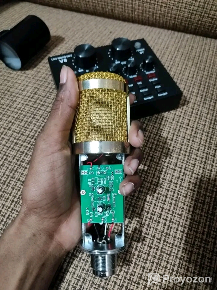 BM 800 condenser microphone