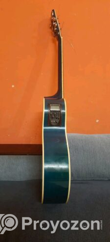 AXE-AG48c with digital processing tuner equalizer