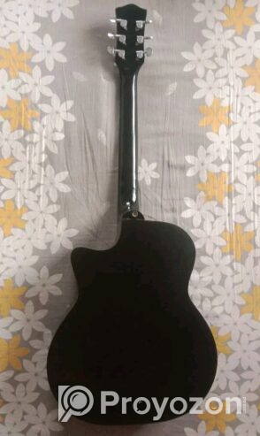 Guitar TGM (Used)