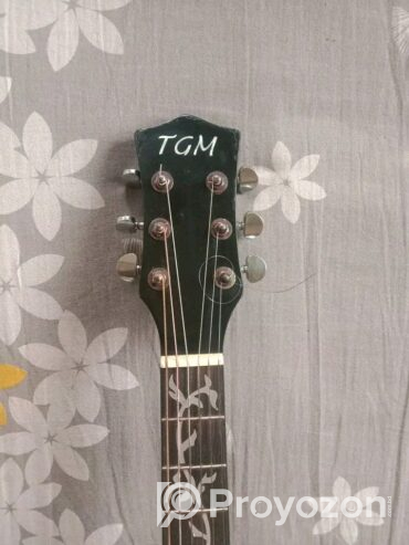 Guitar TGM (Used)
